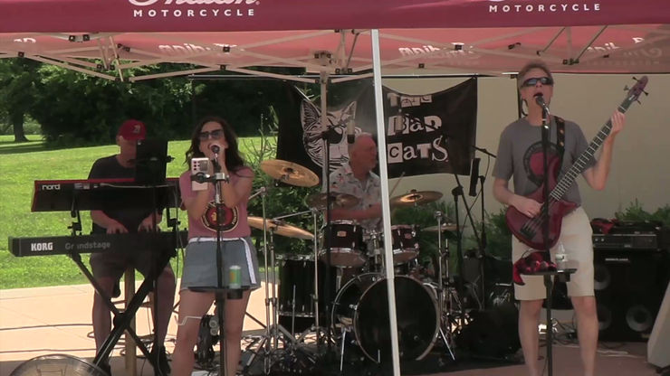 The Bad Cats 2025 Live Show Sampler!